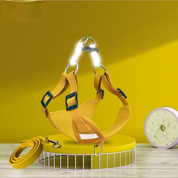 pet collar dog accessories puppy collars & leashes
pet collar dog accessories puppy collars & leashes