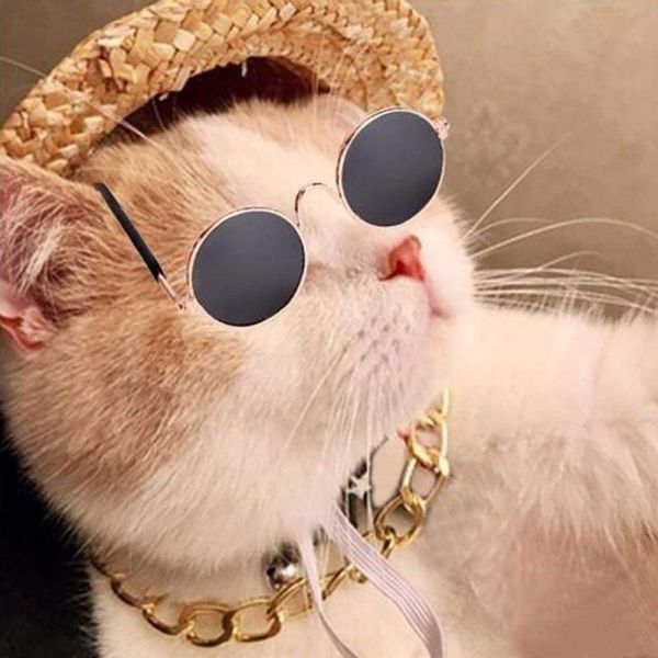 dog apparel trendy pet cat cool straw sun hat necklace eyeglasses set po props hawaii style accessories cats caps country
dog apparel trendy pet cat cool straw sun hat necklace eyeglasses set po props hawaii style accessories cats caps country
