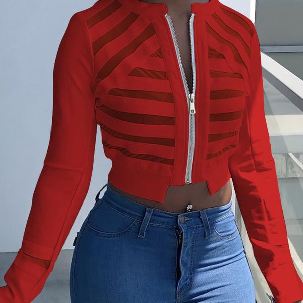 women's jackets elegant solid slim zipper women cardigan fashion casual long sleeve office lady o-neck sheer mesh jacket outerwear, Black;brown
women's jackets elegant solid slim zipper women cardigan fashion casual long sleeve office lady o-neck sheer mesh jacket outerwear, Black;brown
