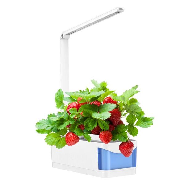 planters & pots multifunctional smart indoor gardening planter kit hydroponic growing system with led plant grow light intelligent func
planters & pots multifunctional smart indoor gardening planter kit hydroponic growing system with led plant grow light intelligent func