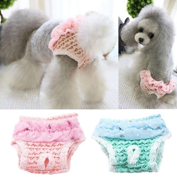 dog apparel cute physiological pants diaper sanitary washable female shorts panties menstruation underwear briefs for girl
dog apparel cute physiological pants diaper sanitary washable female shorts panties menstruation underwear briefs for girl