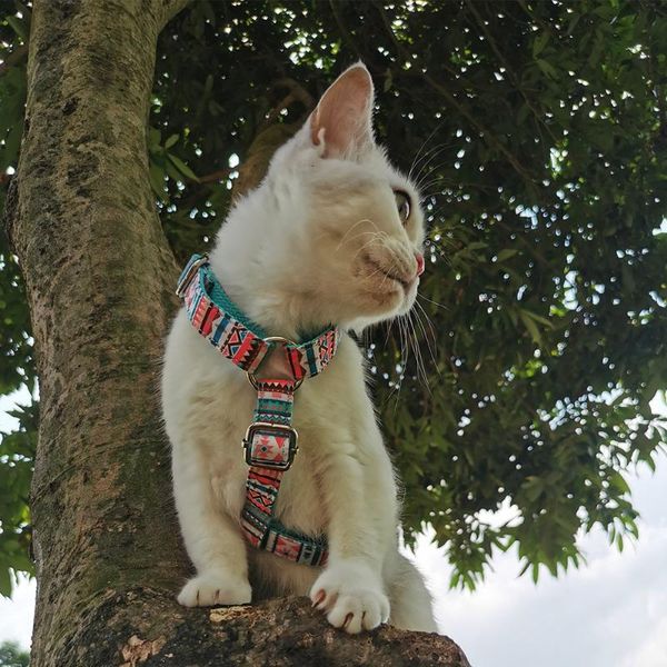 dog collars & leashes adjustable pet chest strap cat puppy national style harness for small medium large dogs cats chihuahua pug
dog collars & leashes adjustable pet chest strap cat puppy national style harness for small medium large dogs cats chihuahua pug