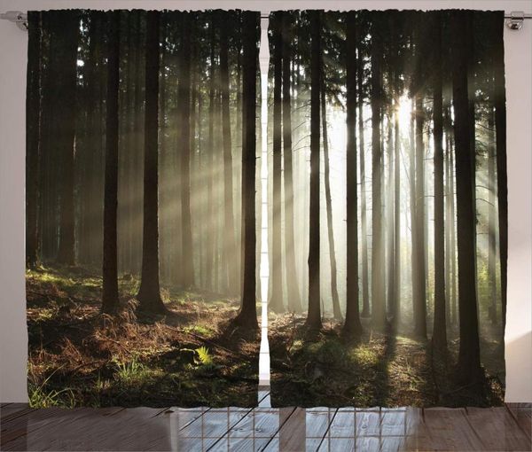 curtain & drapes forest curtains for living room sun rays entering coniferous on a misty autumnal morning scenery window
curtain & drapes forest curtains for living room sun rays entering coniferous on a misty autumnal morning scenery window