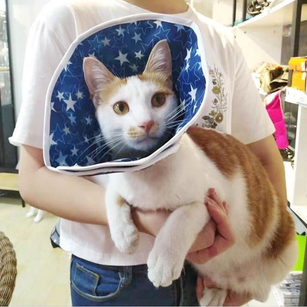 cat collars & leads elizabethan collar for dogs cone kitten anti-licking neck recovery waterproof lightweight
cat collars & leads elizabethan collar for dogs cone kitten anti-licking neck recovery waterproof lightweight