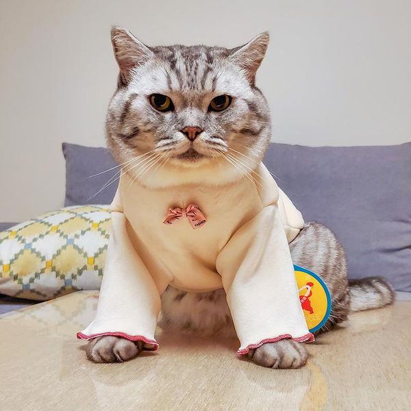 cat costumes winter autumn warm soft pet clothes puppy velvet costume fashion white base shirt bow-knot accessories supplies
cat costumes winter autumn warm soft pet clothes puppy velvet costume fashion white base shirt bow-knot accessories supplies