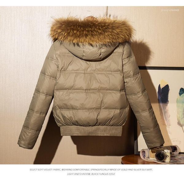 women's down & parkas jacket parka 2021 autumn winter short duck jackets natural raccoon fur coat casaco femininolx23391, Black
women's down & parkas jacket parka 2021 autumn winter short duck jackets natural raccoon fur coat casaco femininolx23391, Black