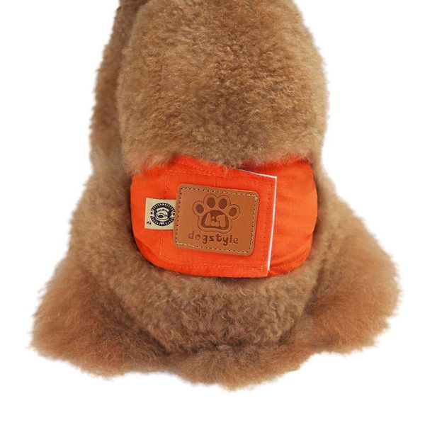 dog apparel 2021 large diaper sanitary physiological pants s-xl washable female shorts panties menstruation underwear briefs pet
dog apparel 2021 large diaper sanitary physiological pants s-xl washable female shorts panties menstruation underwear briefs pet