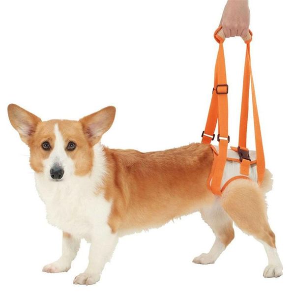 adjustable dog lift harness for back legs pet support sling help weak stand up pets old dogs vest leash aid assist tool collars & leashes
adjustable dog lift harness for back legs pet support sling help weak stand up pets old dogs vest leash aid assist tool collars & leashes