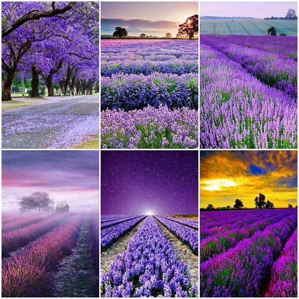diamond painting 5d diy picture of rhinestone lavender embroidery landscape full square mosaic home decor gift
diamond painting 5d diy picture of rhinestone lavender embroidery landscape full square mosaic home decor gift