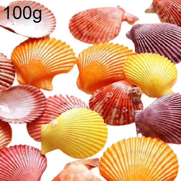 novelty items 100g natural conch shell handmade diy mixed ocean sea shells wedding decor beach theme party seashells home decorations
novelty items 100g natural conch shell handmade diy mixed ocean sea shells wedding decor beach theme party seashells home decorations