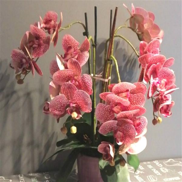decorative flowers & wreaths 3d artificial butterfly orchid fake moth flor flower for home wedding diy decoration real touch decor flore
decorative flowers & wreaths 3d artificial butterfly orchid fake moth flor flower for home wedding diy decoration real touch decor flore