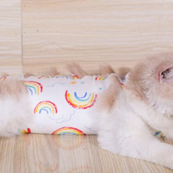 1pc cat recovery suit anti pet licking wounds clothes puppy sterilization care wipe prevent after wear costumes
1pc cat recovery suit anti pet licking wounds clothes puppy sterilization care wipe prevent after wear costumes