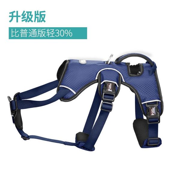 dog breeches leash medium-sized large pet chain walking collar collars & leashes
dog breeches leash medium-sized large pet chain walking collar collars & leashes