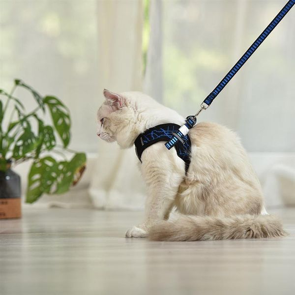 dog collars & leashes reflective pet harnesses portable pulling strap cat harness creative chest (blue set, size l)
dog collars & leashes reflective pet harnesses portable pulling strap cat harness creative chest (blue set, size l)