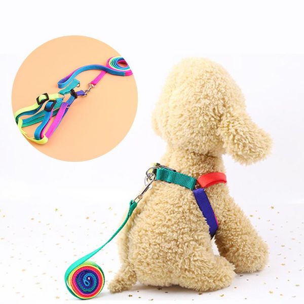 dog leash pet supplies adjustable rainbow with harness small leashes lead collar belt collars &
dog leash pet supplies adjustable rainbow with harness small leashes lead collar belt collars &