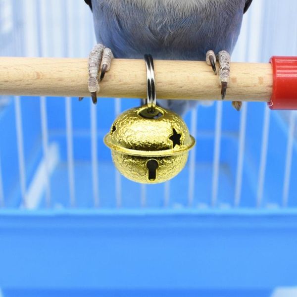 other bird supplies swing chewing toys parrot hammock wooden perch with gold matte bell for small myna golden sun macaws
other bird supplies swing chewing toys parrot hammock wooden perch with gold matte bell for small myna golden sun macaws