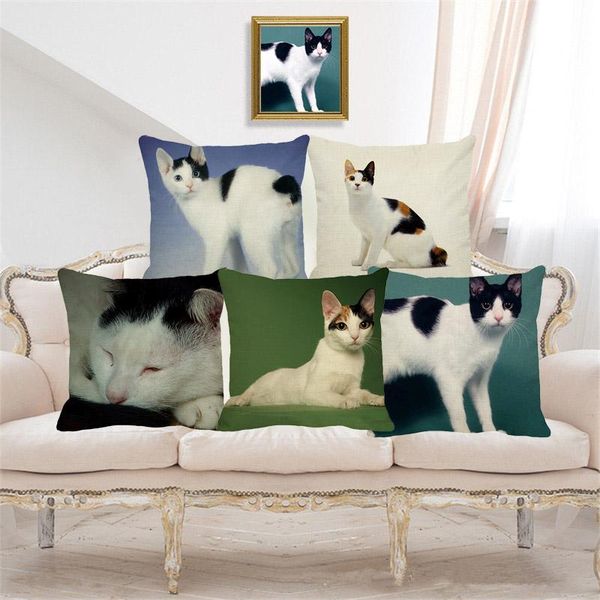 cute japanese short-tailed cat pet cushion cover pillow case home decorative throw pillowcase for sofa car cojines cushion/decorative
cute japanese short-tailed cat pet cushion cover pillow case home decorative throw pillowcase for sofa car cojines cushion/decorative