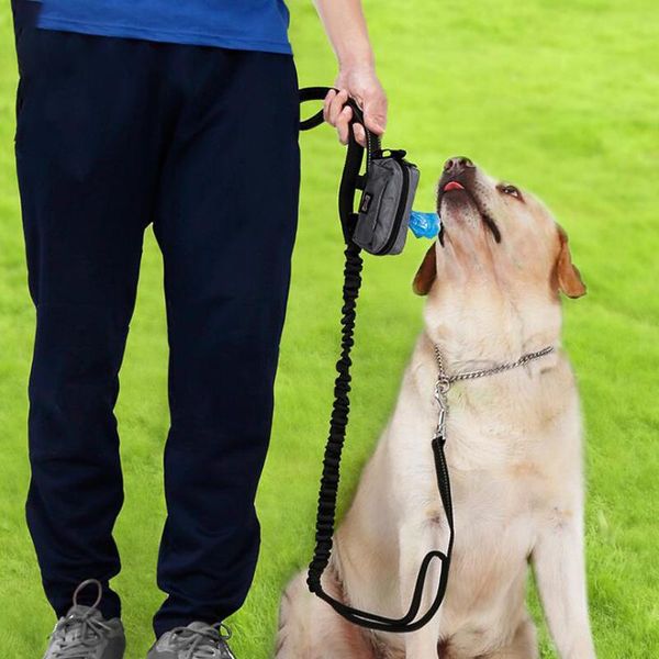 dog travel & outdoors portable outing poop waste bag puppy kitten pick up packet with a roll of garbage pet leashes dispenser
dog travel & outdoors portable outing poop waste bag puppy kitten pick up packet with a roll of garbage pet leashes dispenser