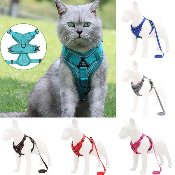 dog collars & leashes cat harness and leash set for escape proof vest with reflective strips adjustable soft mesh pet supplies
dog collars & leashes cat harness and leash set for escape proof vest with reflective strips adjustable soft mesh pet supplies