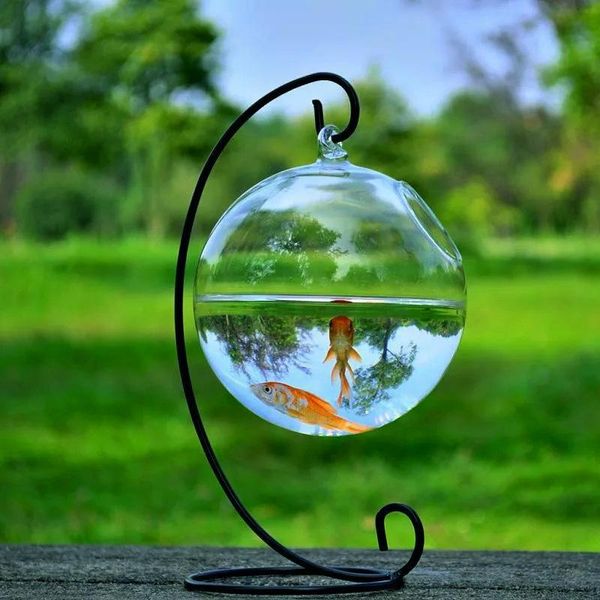 aquariums creative hanging glass vase aquarium transparent spherical handmade home decoration ornaments fish tank
aquariums creative hanging glass vase aquarium transparent spherical handmade home decoration ornaments fish tank