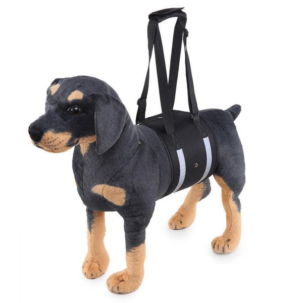 dog collars & leashes exploded to take a with pet, carry pet and help bring protect belted
dog collars & leashes exploded to take a with pet, carry pet and help bring protect belted