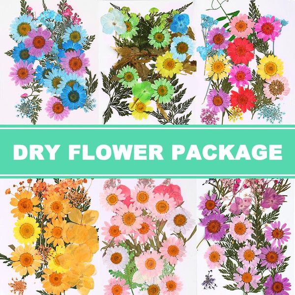 decorative flowers & wreaths spot pressed flower mixed dried diy art floral decors collection gift craft party christmas home decoration too
decorative flowers & wreaths spot pressed flower mixed dried diy art floral decors collection gift craft party christmas home decoration too