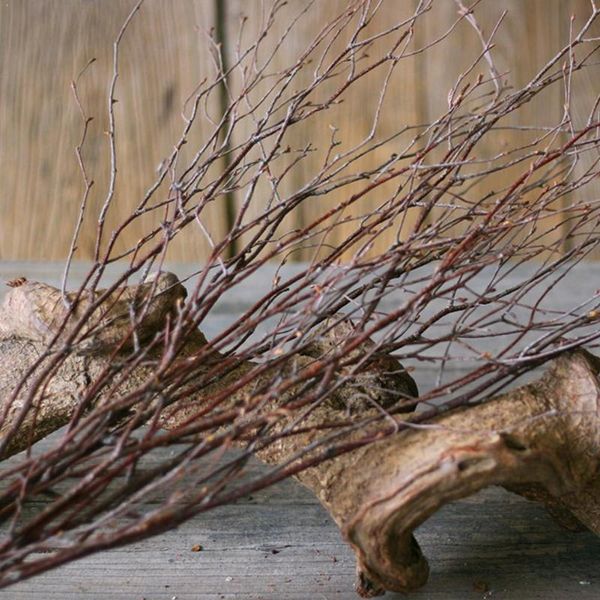 decorative flowers & wreaths 1 bundle natural birch branch twigs, spray plant decoration, for centerpieces, or floral ijk89 arrangements cra
decorative flowers & wreaths 1 bundle natural birch branch twigs, spray plant decoration, for centerpieces, or floral ijk89 arrangements cra