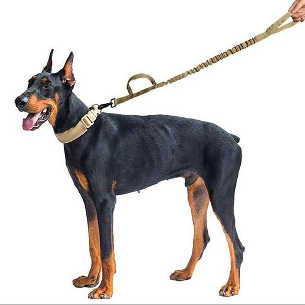 army tactical dog leash nylon bungee leashes pet military lead belt training running for medium large dogs german shepherd collars &
army tactical dog leash nylon bungee leashes pet military lead belt training running for medium large dogs german shepherd collars &