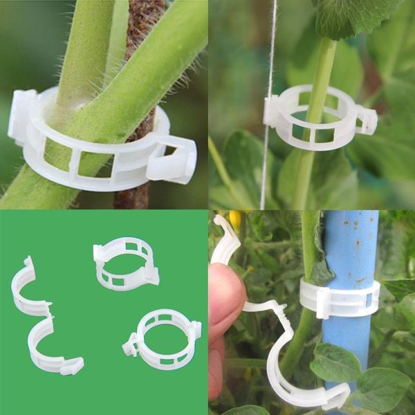 fencing, trellis & gates plants hanging vine fencing vegetables garden ornament plastic durable 50pcs 100pcs greenhouse 30mm
fencing, trellis & gates plants hanging vine fencing vegetables garden ornament plastic durable 50pcs 100pcs greenhouse 30mm