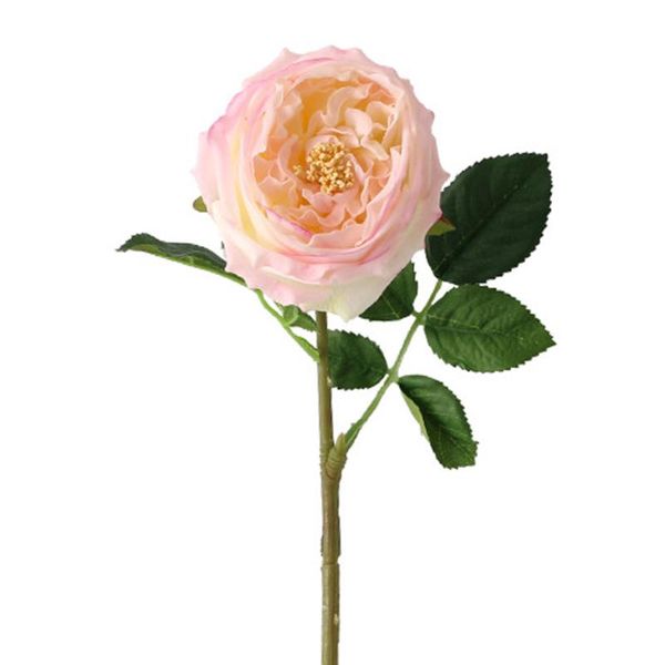 decorative flowers & wreaths 5pcs single brunch fake artificial silk roses penoy for living room coffee table decoration wedding party diy b
decorative flowers & wreaths 5pcs single brunch fake artificial silk roses penoy for living room coffee table decoration wedding party diy b