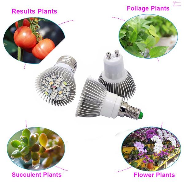 bulbs 1-10x high power 5730smd led e27 gu10 18w / 28w 35w full spectrum grow light for plants vegetables hydroponics ac85-265v
bulbs 1-10x high power 5730smd led e27 gu10 18w / 28w 35w full spectrum grow light for plants vegetables hydroponics ac85-265v