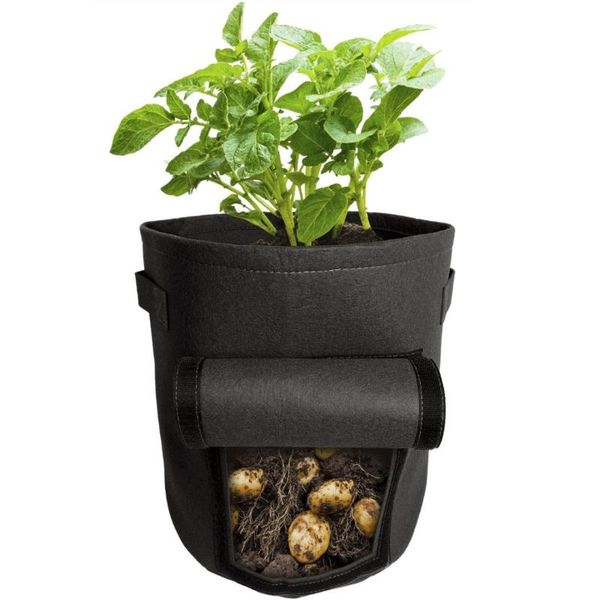 planters & pots 2pcs 7/10 gallon plant grow bags home garden potato pot greenhouse vegetable nonwoven cloth growing
planters & pots 2pcs 7/10 gallon plant grow bags home garden potato pot greenhouse vegetable nonwoven cloth growing