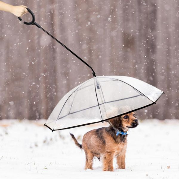 transparent pet umbrella dog cat adjustable rainy traction rope sturdy supplies walking the on days car seat covers
transparent pet umbrella dog cat adjustable rainy traction rope sturdy supplies walking the on days car seat covers