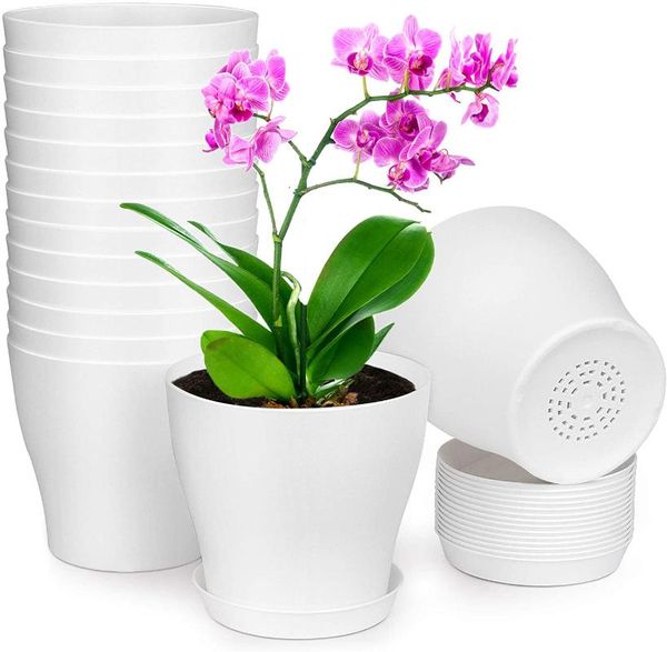 planters & pots garden plants 15 pack 6 inch collect waist plastic flowers with multiple drainage holes and tray plant
planters & pots garden plants 15 pack 6 inch collect waist plastic flowers with multiple drainage holes and tray plant