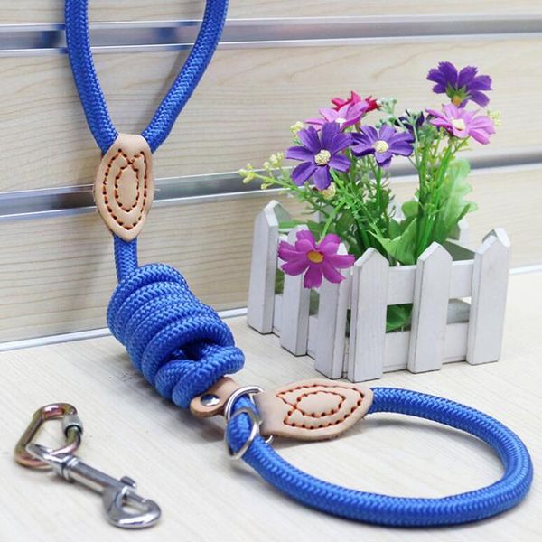 dog training leash slip pet nylon rope lead strap adjustable traction collar red blue yellow collars & leashes
dog training leash slip pet nylon rope lead strap adjustable traction collar red blue yellow collars & leashes