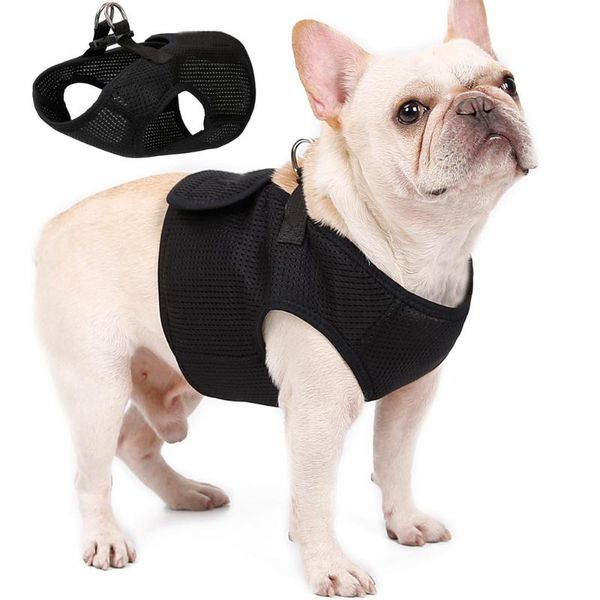 mesh vest harness soft reflective nylon adjustable breathable set chest strap small medium dogs pet dog collars & leashes
mesh vest harness soft reflective nylon adjustable breathable set chest strap small medium dogs pet dog collars & leashes