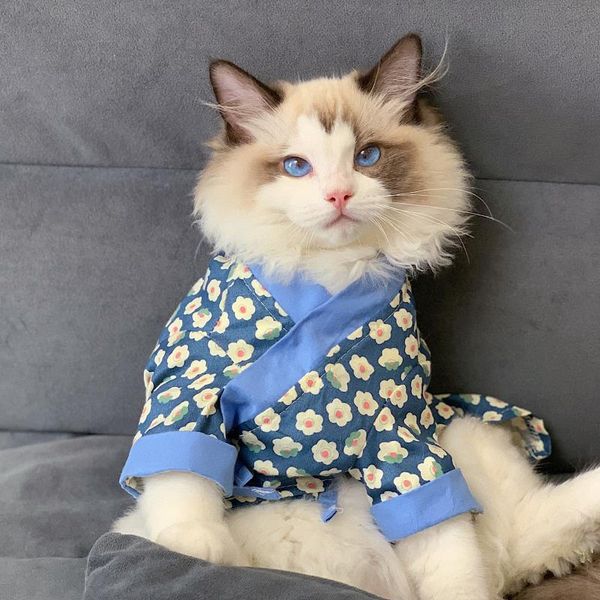 pet hanfu chinese style cat spring and autumn breathable teddy dog clothes large golden retriever labrador costumes
pet hanfu chinese style cat spring and autumn breathable teddy dog clothes large golden retriever labrador costumes