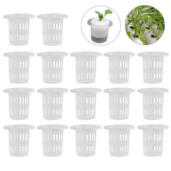 planters & pots 100pcs planting basket cup set root fixer plastic pp translucent garden home soilless cultivation hydroponic net basin
planters & pots 100pcs planting basket cup set root fixer plastic pp translucent garden home soilless cultivation hydroponic net basin