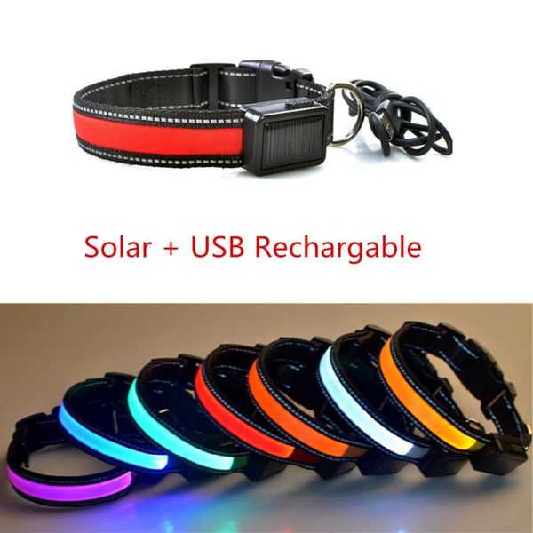 solar pet led collar & usb rechargeable nylon dog glowing light emitting adjustable collars leashes
solar pet led collar & usb rechargeable nylon dog glowing light emitting adjustable collars leashes