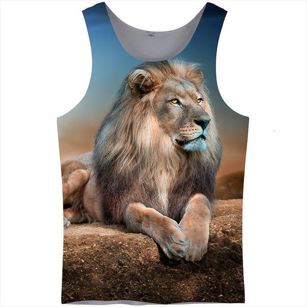 3d tank men vest print lion sleeveless active bodybuilding summer fashion casual vacation streetwear, White;black
3d tank men vest print lion sleeveless active bodybuilding summer fashion casual vacation streetwear, White;black