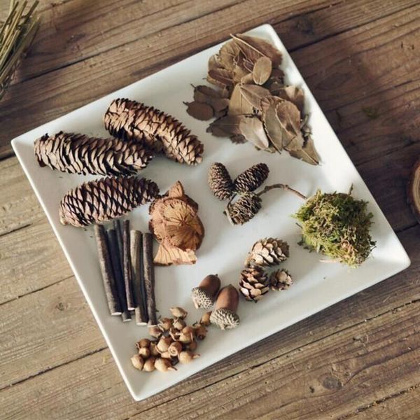 decorative objects & figurines wood branches acorns pine cones leaves ornaments for diy craft rustic retro vintage decoration po booth props
decorative objects & figurines wood branches acorns pine cones leaves ornaments for diy craft rustic retro vintage decoration po booth props