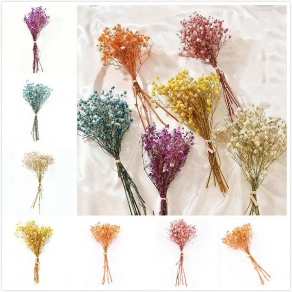 decorative flowers & wreaths 50pcs real happy flower small natural dried bouquet dry press mini pography po backdrop decor
decorative flowers & wreaths 50pcs real happy flower small natural dried bouquet dry press mini pography po backdrop decor