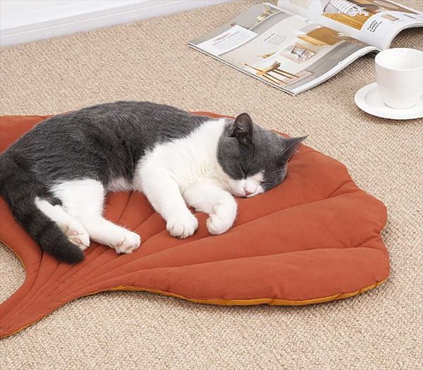 leaf cat mat sleeping with pet pad dog ground autumn and winter anti bite cage beds & furniture
leaf cat mat sleeping with pet pad dog ground autumn and winter anti bite cage beds & furniture