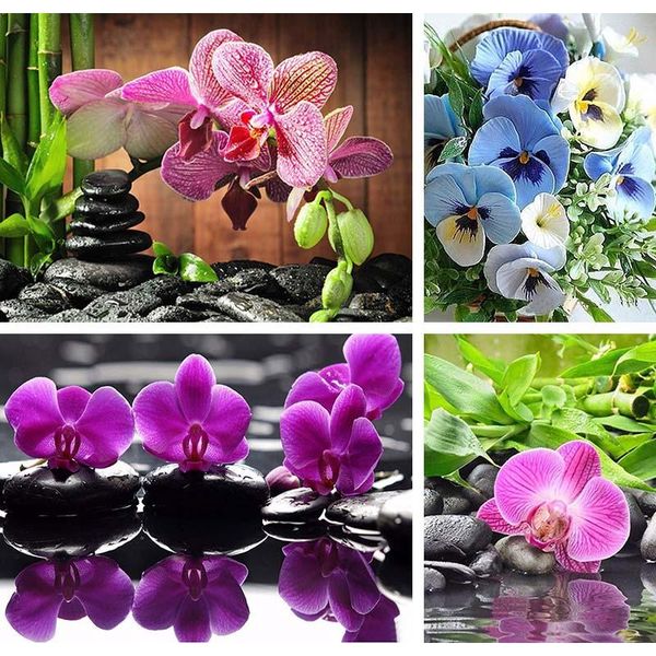 diamond painting home decor full drill daimond phalaenopsis flower 5d diy embroidery black stones rhinestone mosaic gift d43
diamond painting home decor full drill daimond phalaenopsis flower 5d diy embroidery black stones rhinestone mosaic gift d43