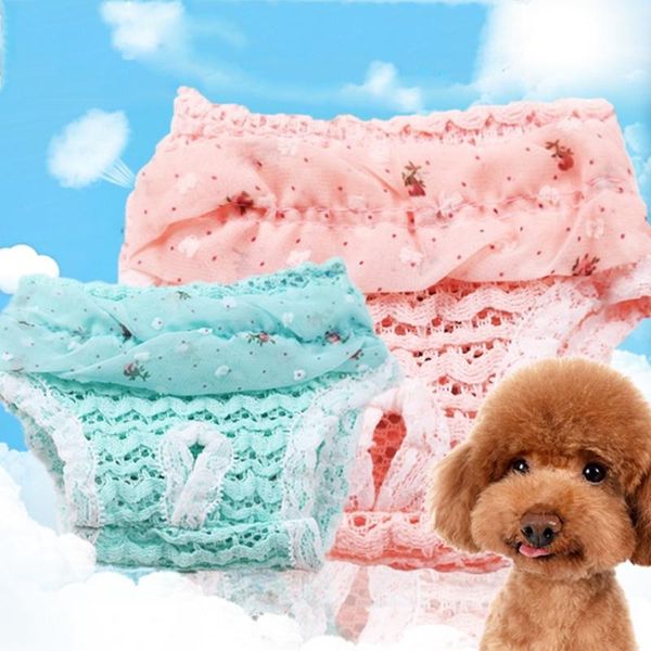 dog apparel pet diaper physiological pants sanitary panties washable female shorts underwear lace edge trousers
dog apparel pet diaper physiological pants sanitary panties washable female shorts underwear lace edge trousers