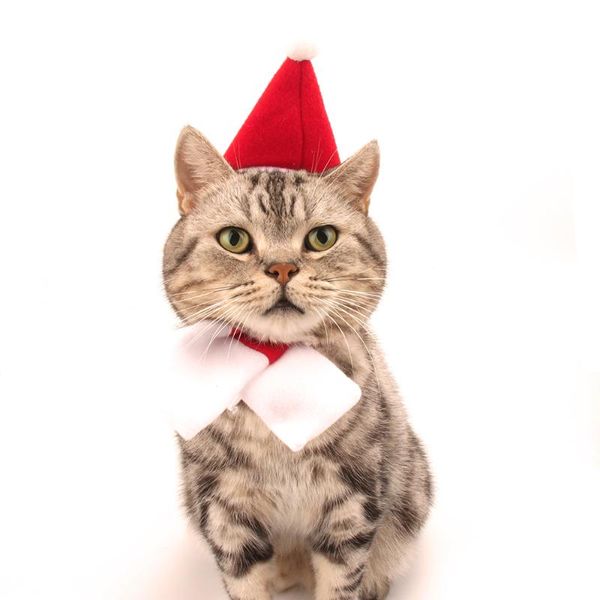 dog apparel winter cat christmas hat scarf for small dogs accessories xmas pet supplies puppy clothing akcesoria dla psa
dog apparel winter cat christmas hat scarf for small dogs accessories xmas pet supplies puppy clothing akcesoria dla psa