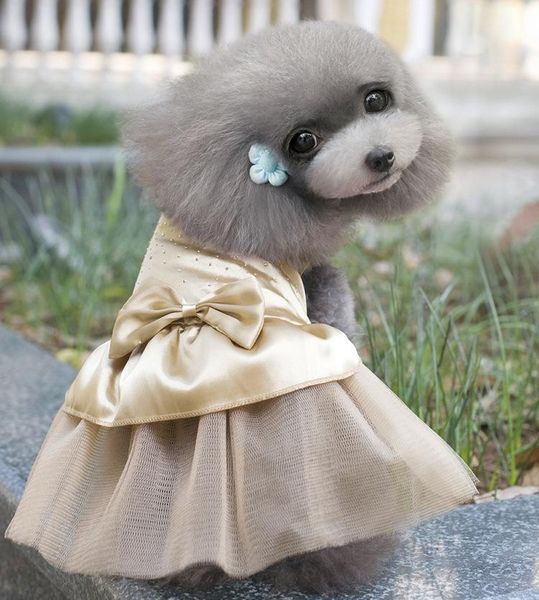 dog apparel skirt teddy small princess poncho dress pink
dog apparel skirt teddy small princess poncho dress pink