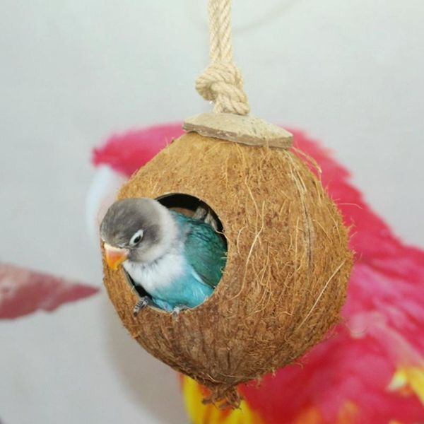 bird nest creative natural coconut hanging house swing toy for summer small pet parakeets finches sparrows cages
bird nest creative natural coconut hanging house swing toy for summer small pet parakeets finches sparrows cages