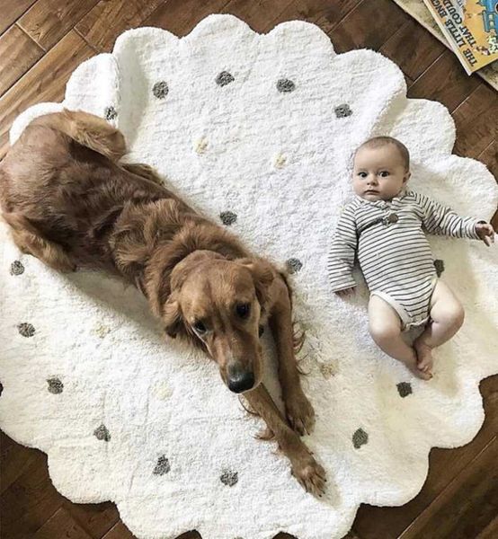 carpets nordic children's carpet dot wavy cotton texture mat home decoration preschool ground rug pography baby pos background
carpets nordic children's carpet dot wavy cotton texture mat home decoration preschool ground rug pography baby pos background