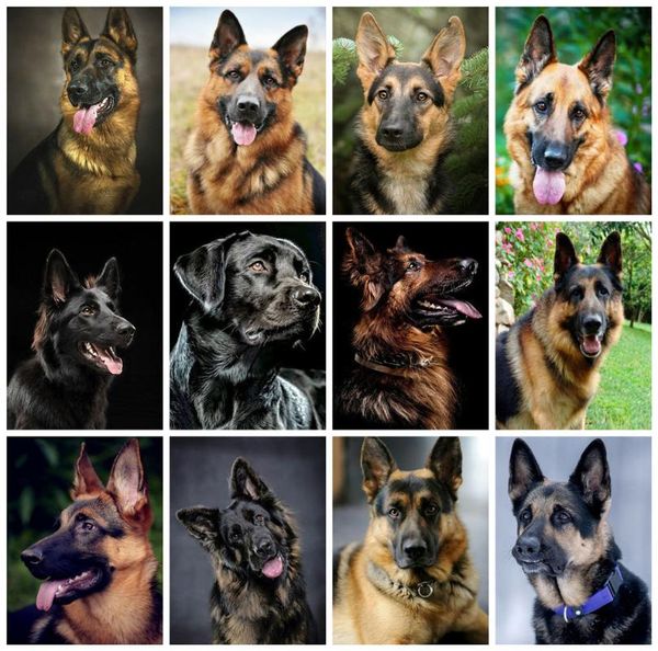 diamond painting huacan 5d diy dog full square mosaic embroidery cross stitch animal rhinestones home decoration gift
diamond painting huacan 5d diy dog full square mosaic embroidery cross stitch animal rhinestones home decoration gift